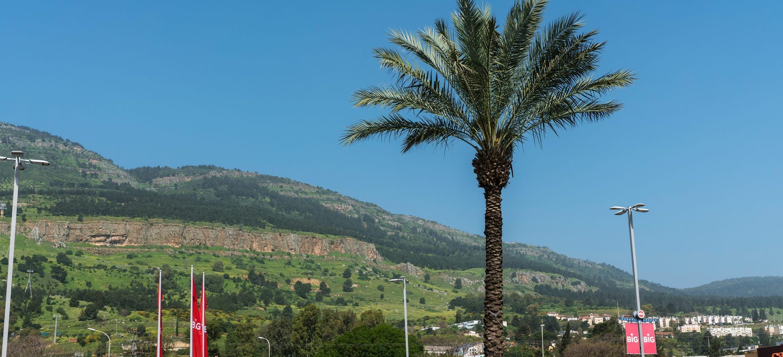 קרית שמונה ניהול הנגר